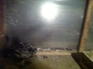 Picture 055