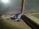 Picture 057