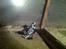 Picture 061