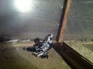Picture 063