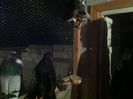 Picture 066