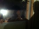 Picture 086
