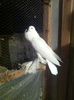 Picture 090