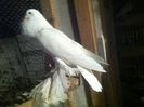 Picture 091