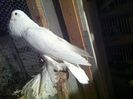 Picture 092