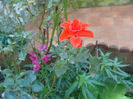 DSC01559