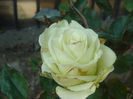 DSC01583