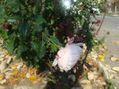 DSC01585