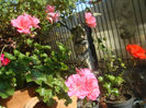 DSC01569