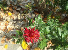 DSC01595