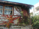 DSC01612