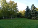 DSCN5817