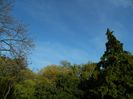 DSCN5811