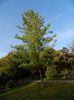 DSCN5816