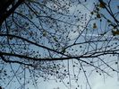DSCN5836