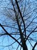DSCN5838