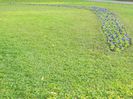 DSCN5896