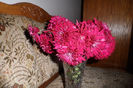 SAM_1597
