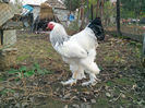 IMG_20131101_160036
