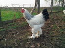 IMG_20131101_160322