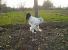 IMG_20131101_160349