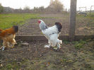 IMG_20131101_160420