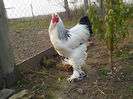 IMG_20131101_160437