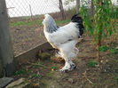 IMG_20131101_160440