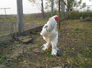 IMG_20131101_160503