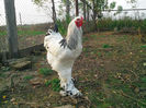 IMG_20131101_160506