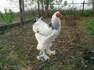 IMG_20131101_160522