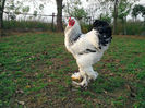 IMG_20131101_160610