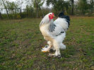IMG_20131101_160616