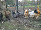 IMG_20131101_160702