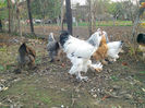 IMG_20131101_160711