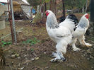 IMG_20131101_160733