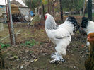 IMG_20131101_160735