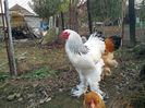 IMG_20131101_160742
