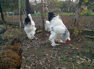 IMG_20131101_160752