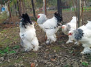 IMG_20131101_160836