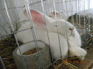 DSCN4667