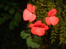 DSCN6849