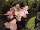 DSCF2328