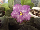 DSCF2356