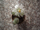 DSCF2258