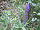 DSCF3111