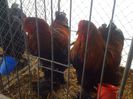 IMG_0195