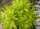 P1050403