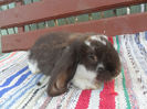 SAM_3676