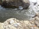 DSC00850